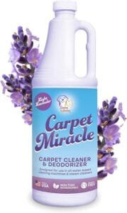 carpet cleaning shampoo for deep stain