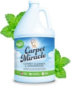 ”Top 10 Carpet Cleaning Solutions & Shampoos for Stain”